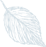 水と人イメージ