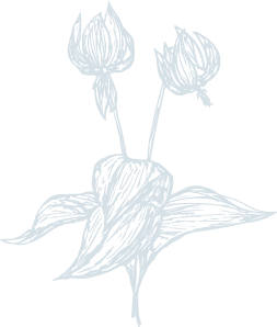 水と人イメージ